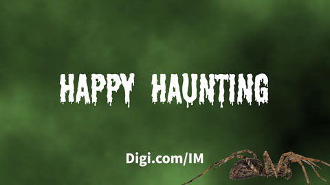 The Horror of IT Demons – A Digi Halloween Special