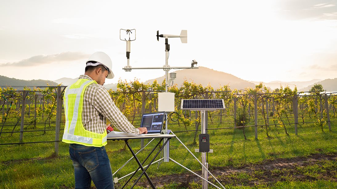 IoT devices in a vineyard